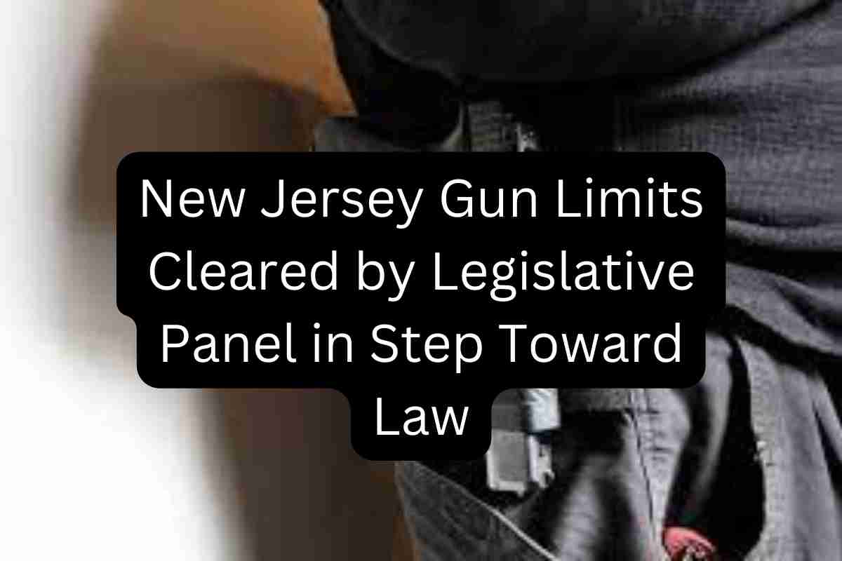 New Jersey Gun Limits Cleared by Legislative Panel in Step Toward Law