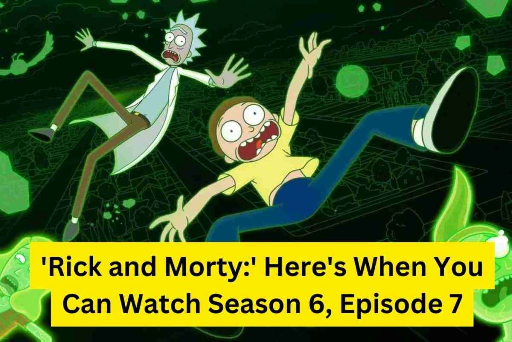'Rick and Morty' Here's When You Can Watch Season 6, Episode 7