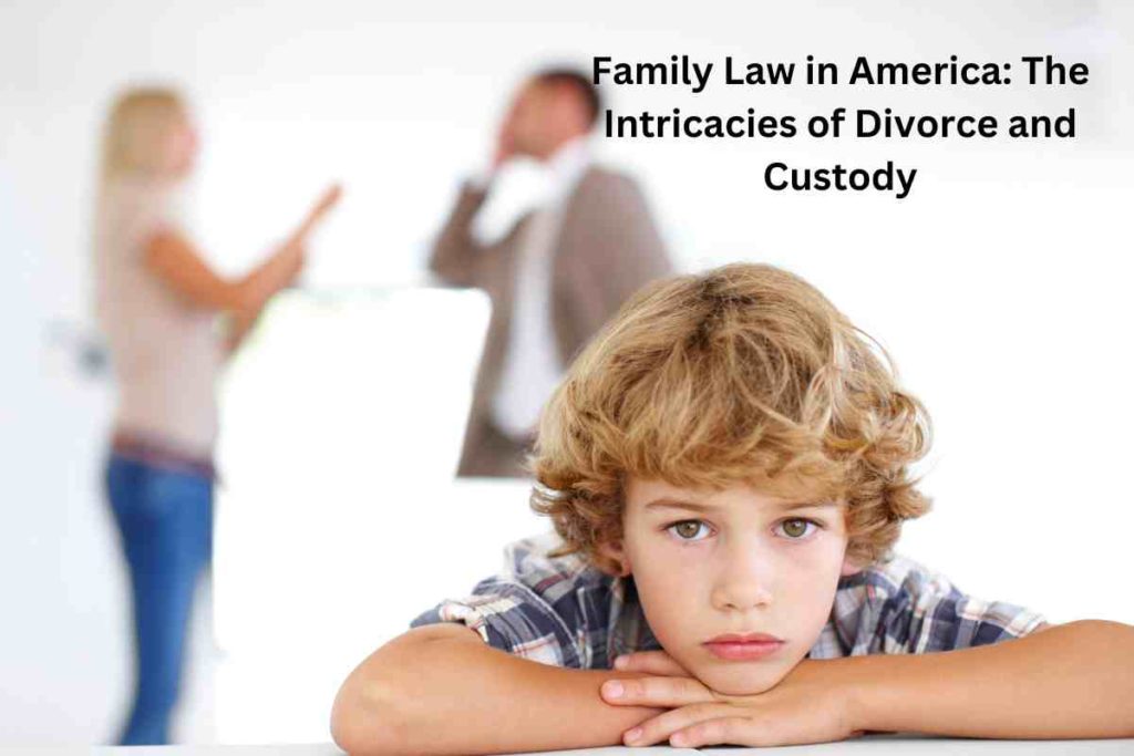 Family Law in America: The Intricacies of Divorce and Custody
