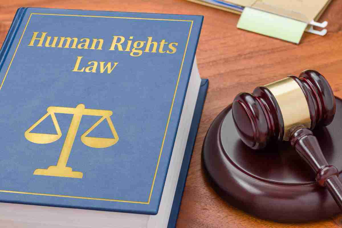 The USA's Take on Human Rights Laws: A Comparative Study