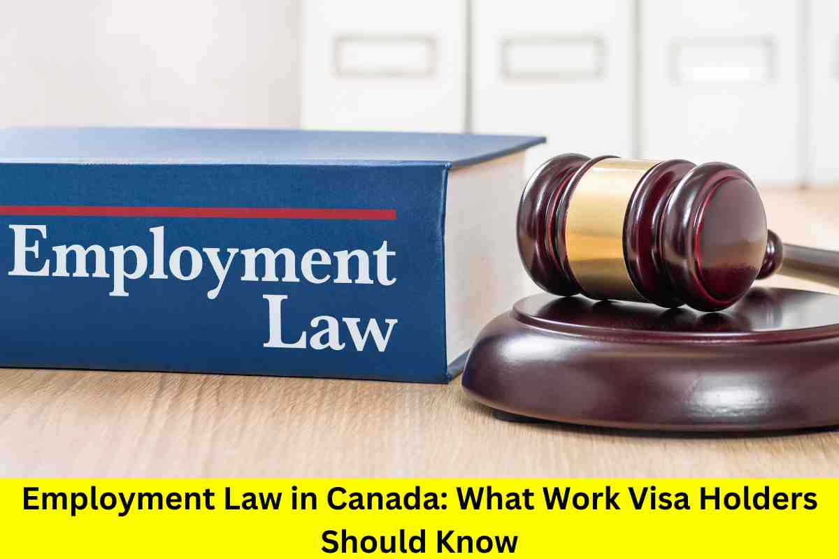 Employment Law in Canada: What Work Visa Holders Should Know