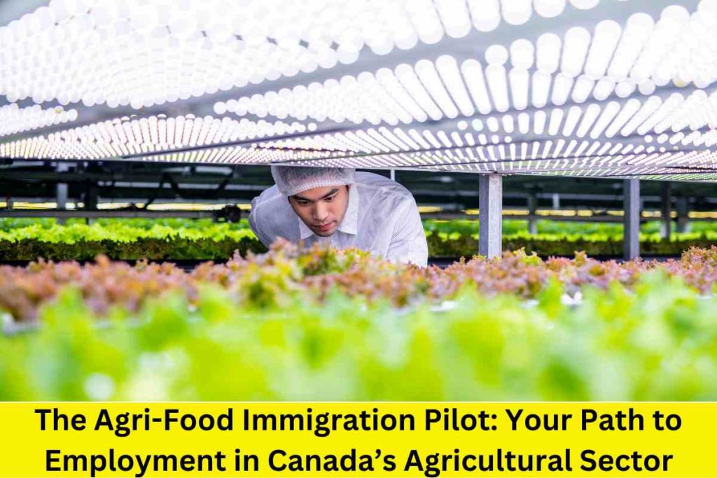 The Agri-Food Immigration Pilot: Your Path to Employment in Canada’s Agricultural Sector
