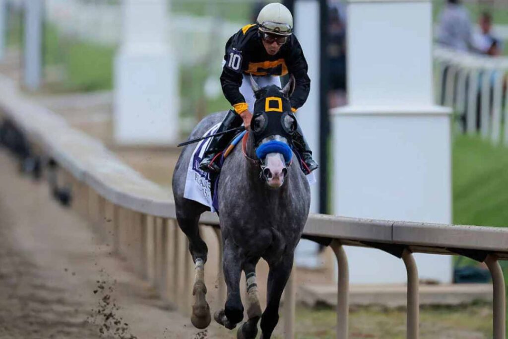 Napoleon Solo Wins Preakness Stakes at Laurel Park